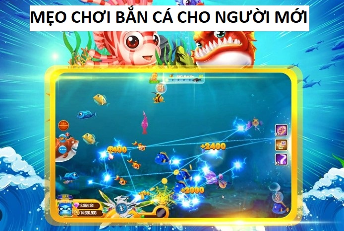 Meo Choi Ban Ca Cho Nguoi Moi